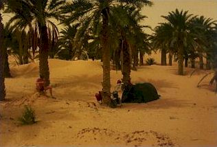 Camping in the Sahara Dessert